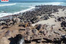 Jihoafrická republika, Namibie, Botswana, Zimbabwe, Zambie - Zimbabwe