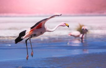 Jižní Amerika jednou za život