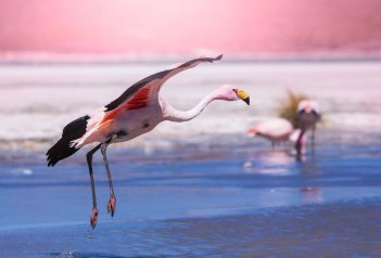 Jižní Amerika jednou za život - Argentina