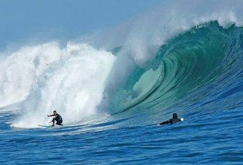 Kalifornie, Aloha Havaj