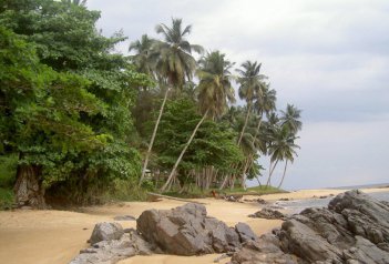 Kamerunská odyssea, poznávací zájezd Kamerun - Kamerun