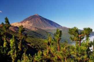 Kanárské ostrovy - Gran Canaria - Výlety + koupání na Playa del Inglés - Kanárské ostrovy - Gran Canaria