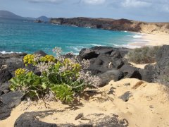 Kanárské ostrovy - Lanzarote cyklo