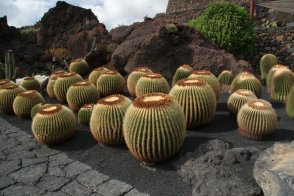 Kanárské ostrovy - Lanzarote cyklo - Kanárské ostrovy - Lanzarote