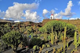 Kanárské ostrovy - Lanzarote - přírodní rezervace UNESCO - Kanárské ostrovy - Lanzarote