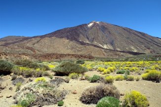 Kanárské ostrovy Tenerife s výletem na ostrov La Gomera - Kanárské ostrovy - Tenerife