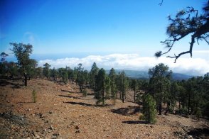 Kanárské ostrovy - Tenerife - Kanárské ostrovy - Tenerife