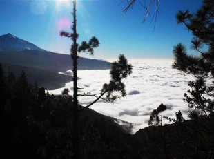 Kanárské ostrovy - Tenerife