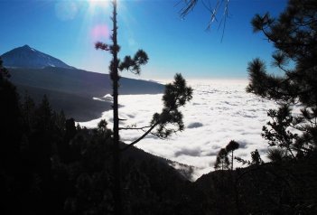 Kanárské ostrovy - Tenerife