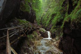 Kaňon Medvědí soutěska - Rakousko
