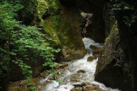 Kaňon Medvědí soutěska - Rakousko
