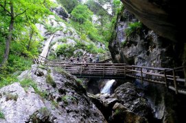 Kaňon Medvědí soutěska - Rakousko