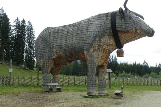 Kaňon Medvědí soutěska - Rakousko