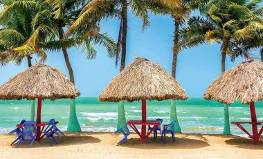 Karibská dovolená s palmami v pozadí
