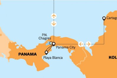 Karibská dovolená s palmami v pozadí - Kolumbie