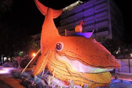 Karneval květů a světel v Nice a festival citrusů - Francie