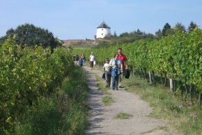 KDE SE RODÍ VÍNO - CYKLISTIKA - Česká republika - Jižní Morava