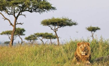 Keňa a Tanzánie - hledání pramene Nilu