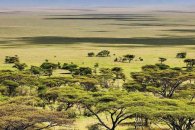 Keňa a Tanzánie - Keňa