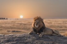 KEŇA, RÁJ NA ZEMI + BÍLÉ PLÁŽE DIANI BEACH - Keňa