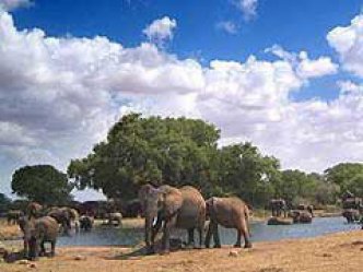 Keňa - Safari Season Special