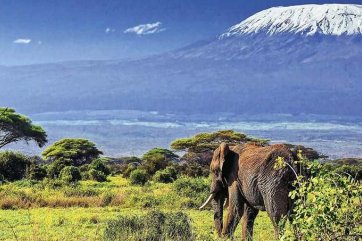 Keňa, Tanzánie a Zanzibar - safari s odpočinkem - Keňa