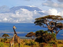 Kilimandžáro a Mt. Meru