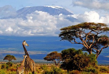 Kilimandžáro a Mt. Meru - Tanzanie