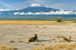 Kilimandžáro se safari a Zanzibar - Tanzanie