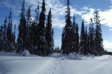 King´s trail - Laponskem na běžkách - Švédsko