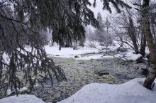 King´s trail - Laponskem na běžkách - Švédsko