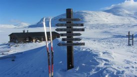 King´s trail - Laponskem na běžkách