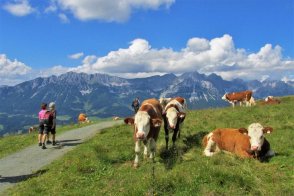 Kitzbühelské Alpy: pohodová turistika lanovkami - Rakousko - Kitzbühel