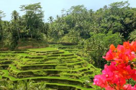 Komfortní Bali aktivně i pasivně - Bali