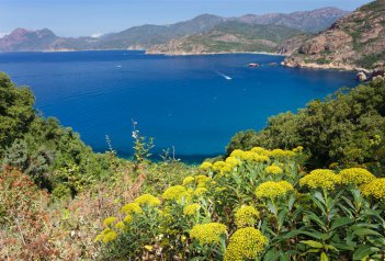 KORSIKA – DIVOKÉ POHOŘÍ V MOŘI - Korsika