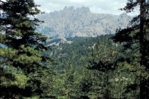 Korsika, rajský ostrov - Korsika