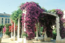 Korsika, rajský ostrov - Korsika