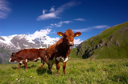 Korutany  s kartou s ubytováním v Bad Kleinkirchhe - Rakousko