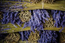 Kouzelná Provence - Francie - Azurové pobřeží
