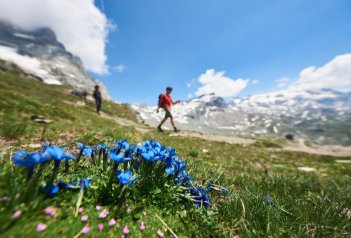 Kouzelná Silvretta: Lanovkami za výhledy - Rakousko - Tyrolské Alpy