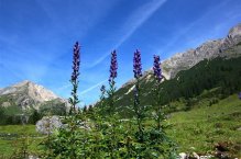 Kouzelné údolí Val Gardena a Piz Boe - Itálie - Val Gardena