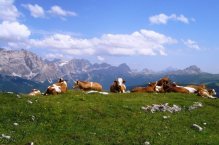 Kouzelné údolí Val Gardena a Piz Boe - Itálie - Val Gardena