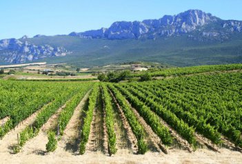 Kraj vína La Rioja - Španělsko