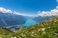 KRÁLOVNA BERNSKÝCH ALP S KARTOU - JUNGFRAU A OKOLÍ INTERLAKENU - Švýcarsko