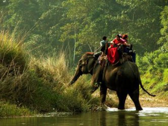Královská cesta Nepálem se safari