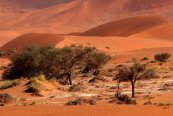 Krásná Afrika - Dune 45 - Jihoafrická republika