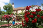 Krásy Bodamského jezera a ostrov Mainau - Německo