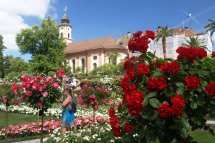 Krásy Bodamského jezera a ostrov Mainau - Německo