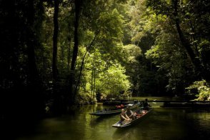 Krásy Bornea - Malajsie - Borneo