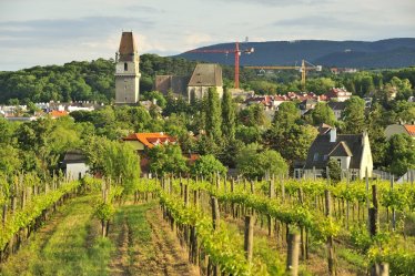 Krásy Dolnorakouska a vinařská slavnost v Poysdorfu